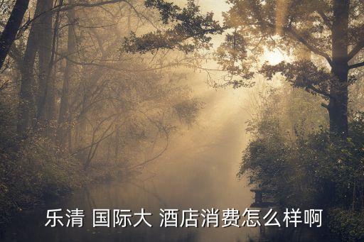 乐清的国际五星酒店,乐清国际da酒店地处繁华地段优势很大