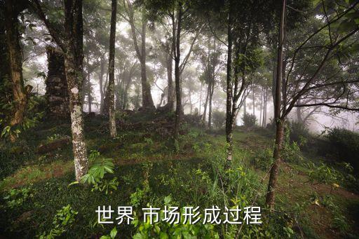 世界 市场形成过程