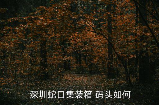  深圳蛇口集装箱 码头如何