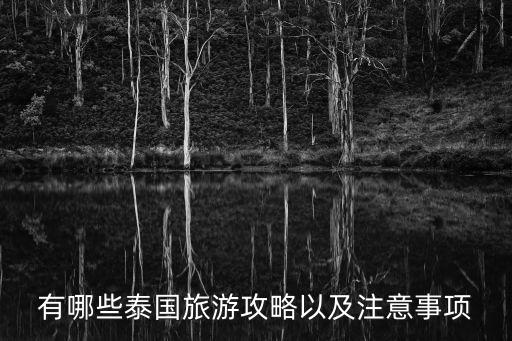 曼谷有哪些国际青旅,泰国五种主要方言旅游须准备好医疗物品
