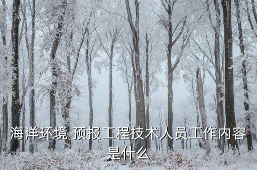 海洋环境 预报工程技术人员工作内容是什么