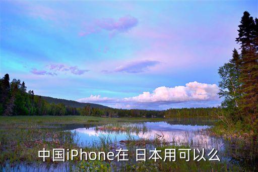 苹果手机在日本能否国际漫游