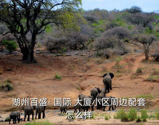 湖州百盛· 国际 大厦小区周边配套怎么样