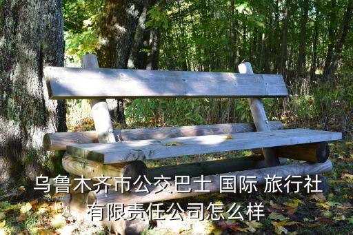 新疆乌鲁木齐国际旅行社,乌鲁木齐西域风情国际旅行社