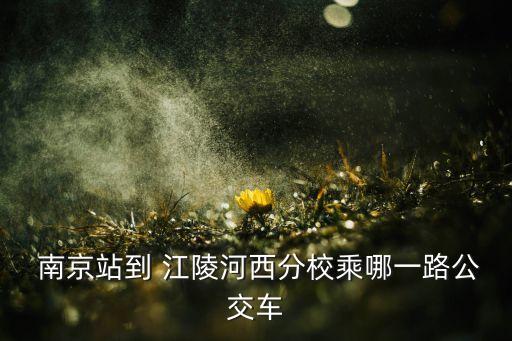 南京站到 江陵河西分校乘哪一路公交车