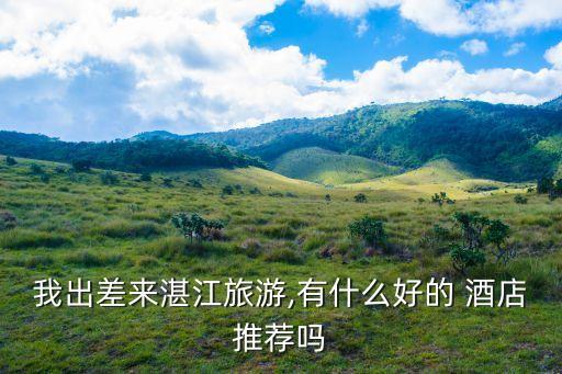 我出差来湛江旅游,有什么好的 酒店推荐吗