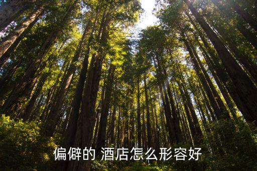偏僻的 酒店怎么形容好