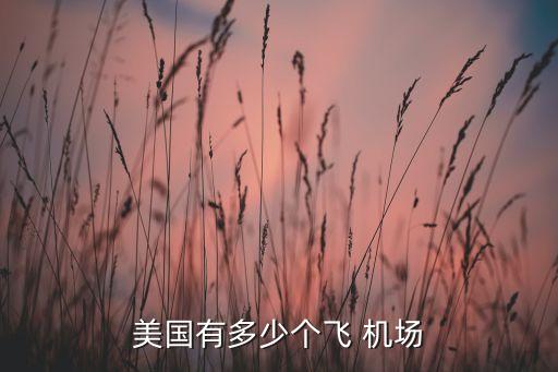 美国有多少个飞 机场