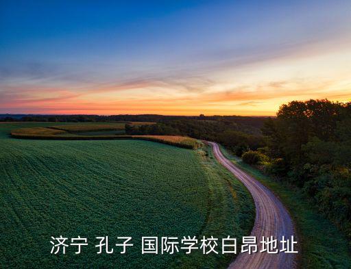 济宁 孔子 国际学校白昂地址