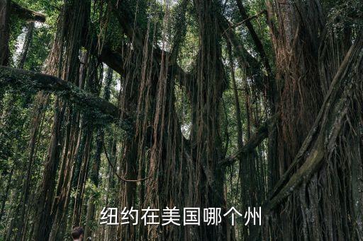 纽约在美国哪个州