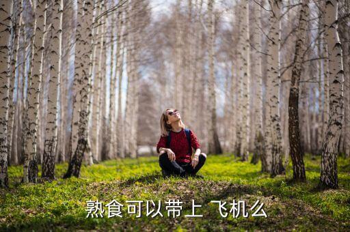  熟食可以带上 飞机么