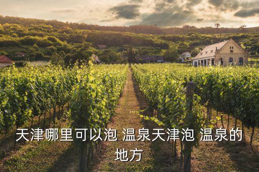 天津哪里可以泡 温泉天津泡 温泉的地方