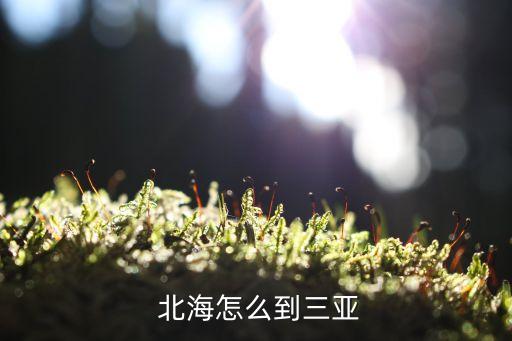  北海怎么到三亚