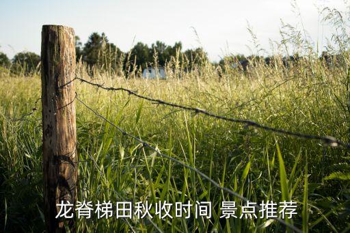  龙脊梯田秋收时间 景点推荐