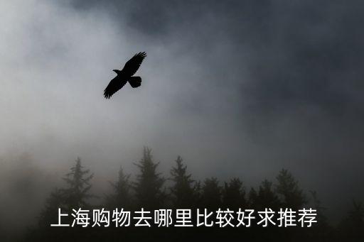 上海 合生国际广场 天辣,上海合生财富广场地址