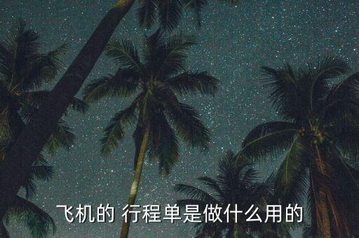 飞机的 行程单是做什么用的