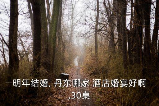 明年结婚, 丹东哪家 酒店婚宴好啊,30桌