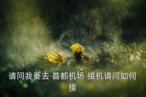 首都机场国际接机,北京首都机场接机在哪里等