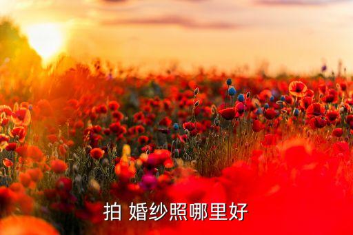 拍 婚纱照哪里好