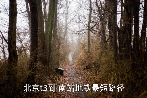  北京t3到 南站地铁最短路径