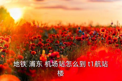地铁 浦东 机场站怎么到 t1航站楼