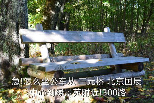 急!怎么坐公车从 三元桥 北京国展 中心到绿景苑附近!300路