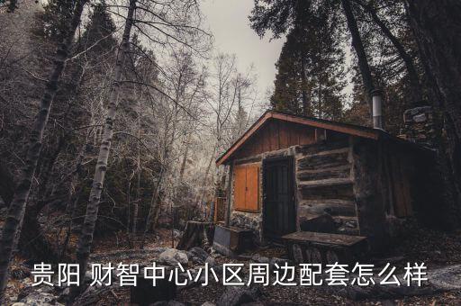 贵阳 财智中心小区周边配套怎么样