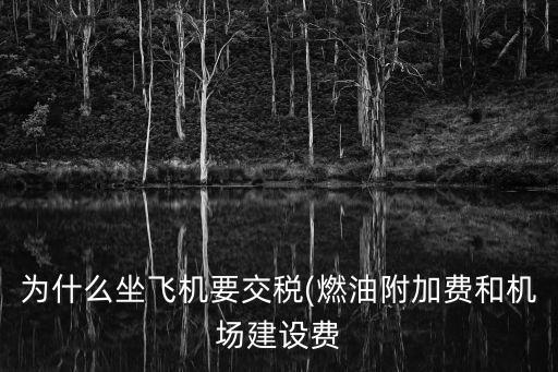 为什么坐飞机要交税(燃油附加费和机场建设费