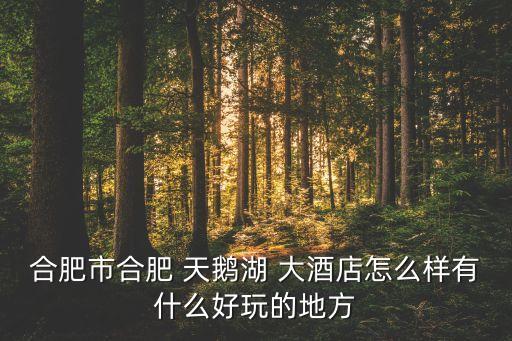 合肥市合肥 天鹅湖 大酒店怎么样有什么好玩的地方