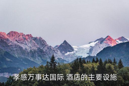  孝感万事达国际 酒店的主要设施