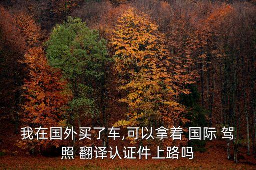 我在国外买了车,可以拿着 国际 驾照 翻译认证件上路吗