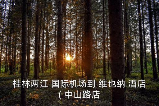 中山维也纳国际酒店中山一路