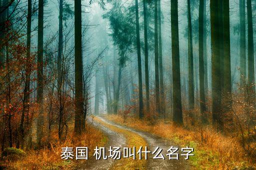 泰国 机场叫什么名字