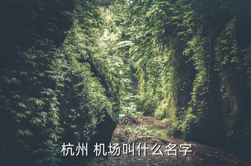  杭州 机场叫什么名字