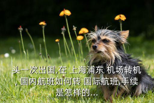 上海浦东机场国际转国内流程