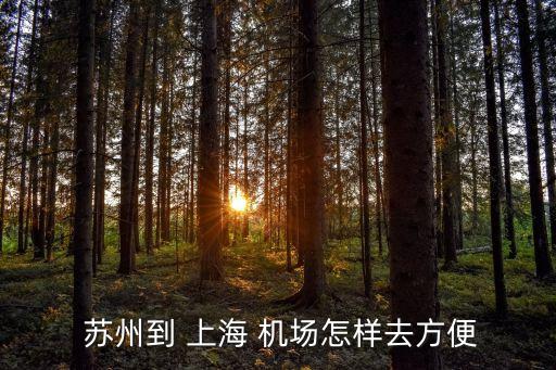  苏州到 上海 机场怎样去方便