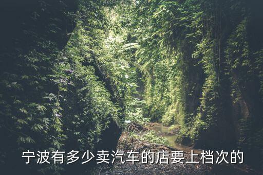宁波国际汽车城