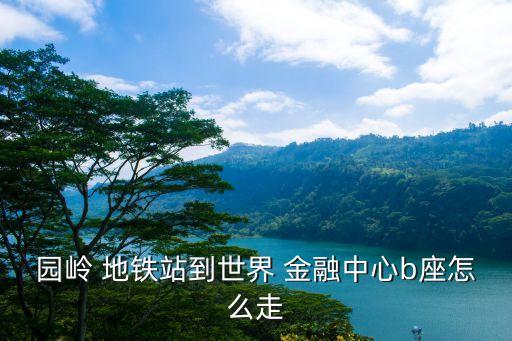 园岭 地铁站到世界 金融中心b座怎么走