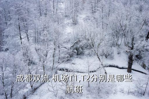 成都双流 机场T1,T2分别是哪些航班
