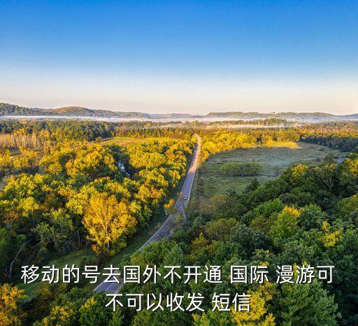 没有开国际漫游怎么才能接收短信