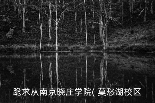 跪求从南京晓庄学院( 莫愁湖校区