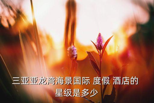 三亚亚龙湾海景国际 度假 酒店的 星级是多少