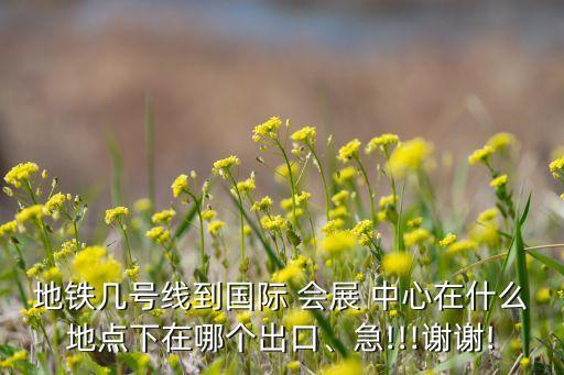 地铁几号线到国际 会展 中心在什么地点下在哪个出口、急!!!谢谢!