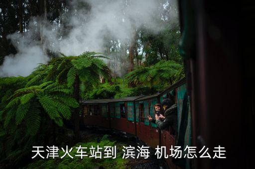  天津火车站到 滨海 机场怎么走