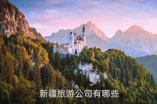  新疆旅游公司有哪些