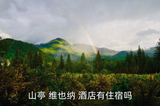 聊城开发区泰山路维也纳国际酒店
