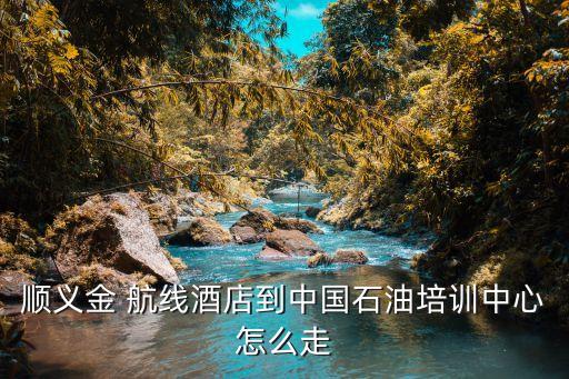 金航线国际,国际a380航线
