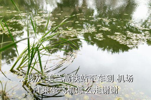 美兰国际机场 t1