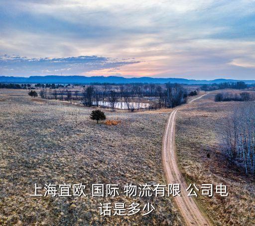 上海国际物流公司