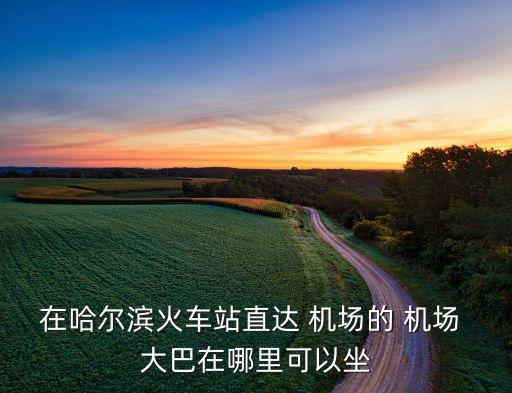 在哈尔滨火车站直达 机场的 机场 大巴在哪里可以坐